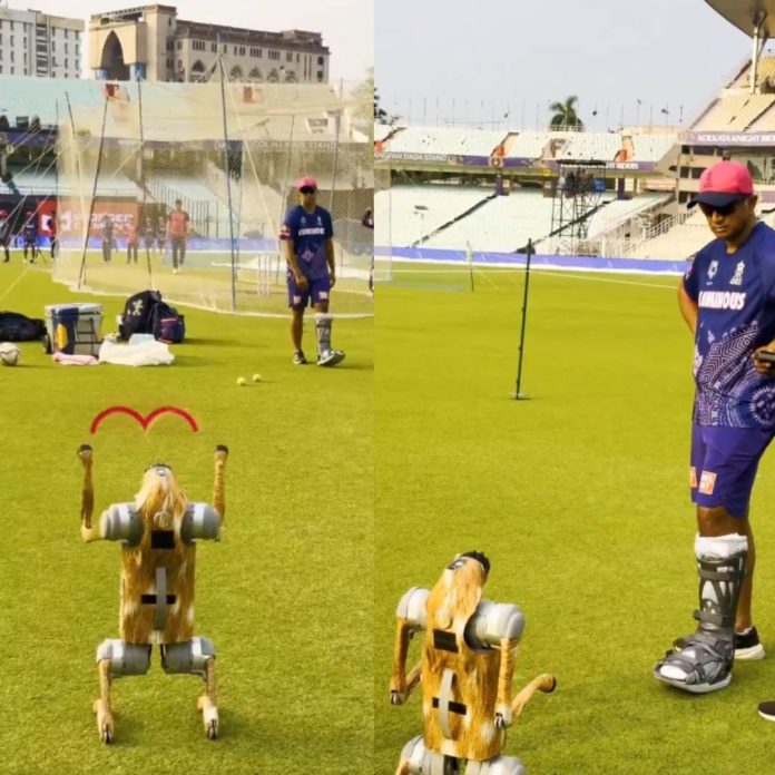 Robot Dog